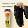 Herbal Shampoo