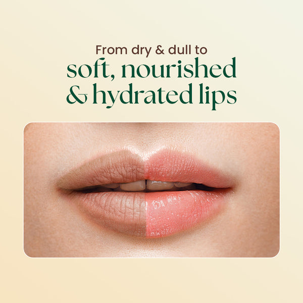 Lip Butter