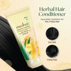Anti Hairfall Care Kit