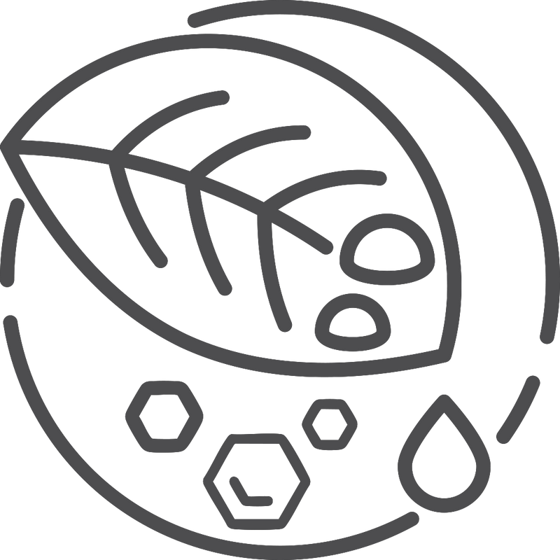 Advanced Botanicals that aid  Skin’s Recovery from photoaging