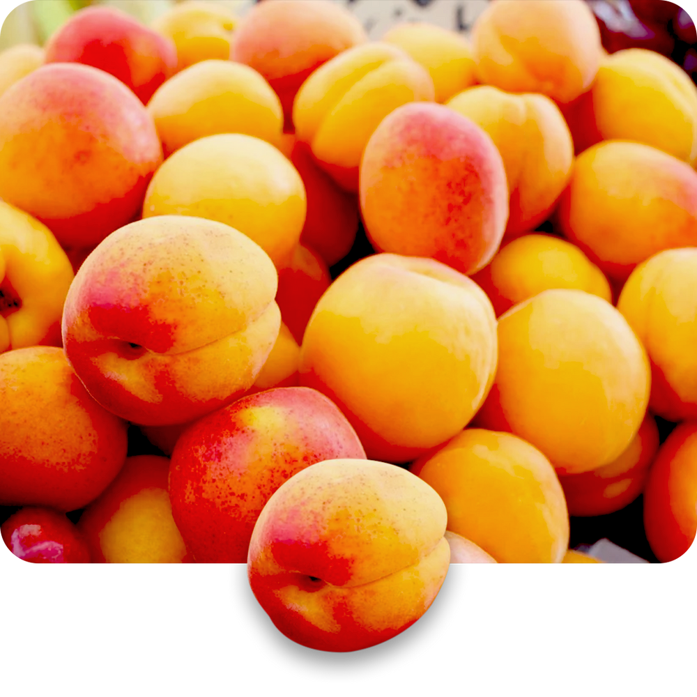 Apricot Oil