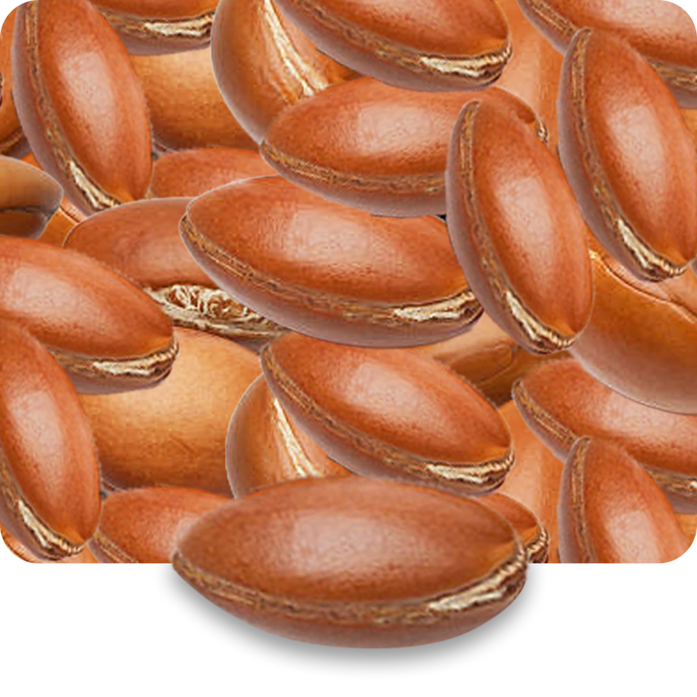 Argan Oil