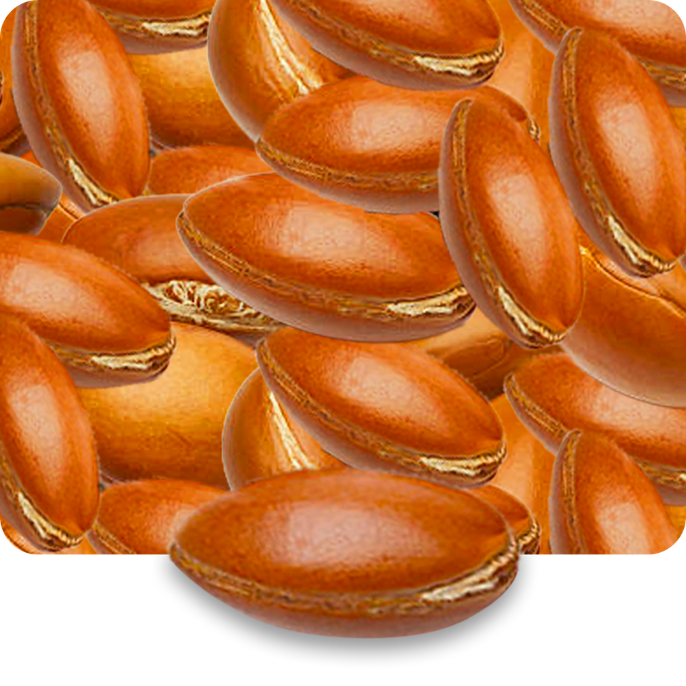 Argan Oil