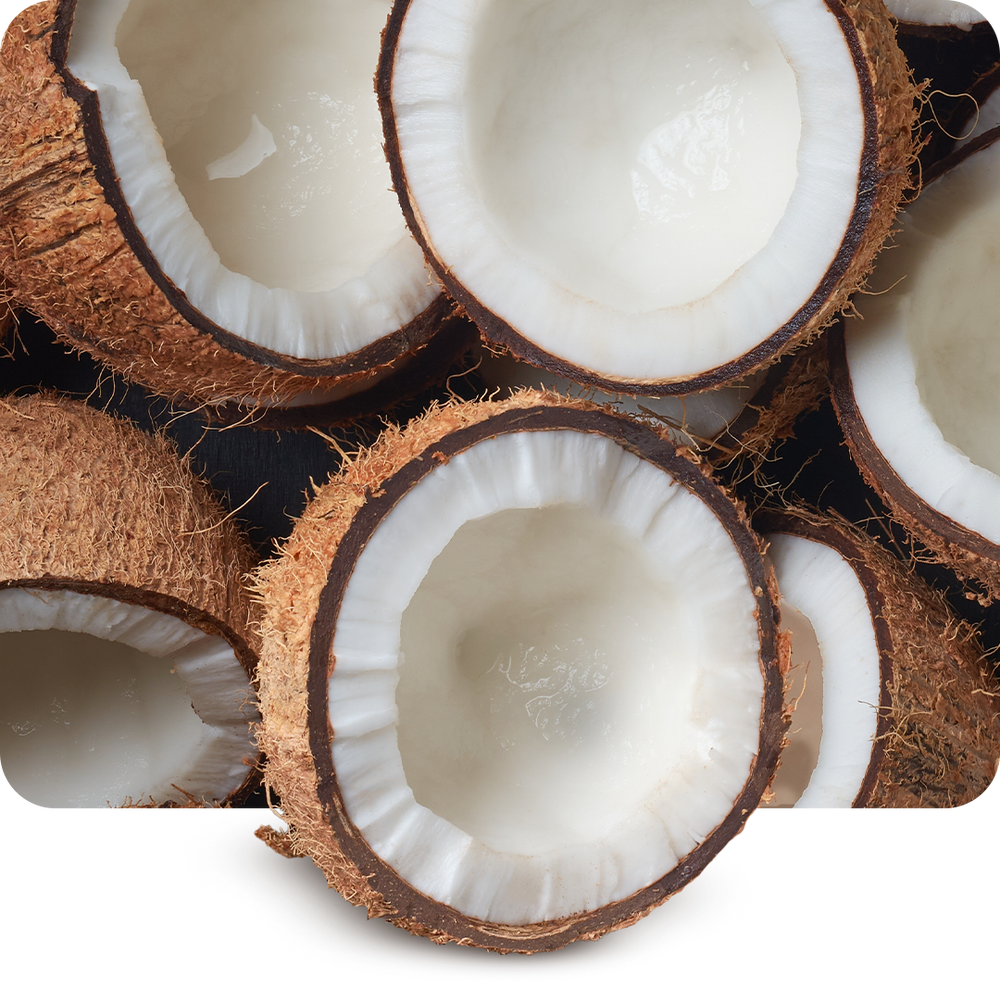 Coconut Oil
