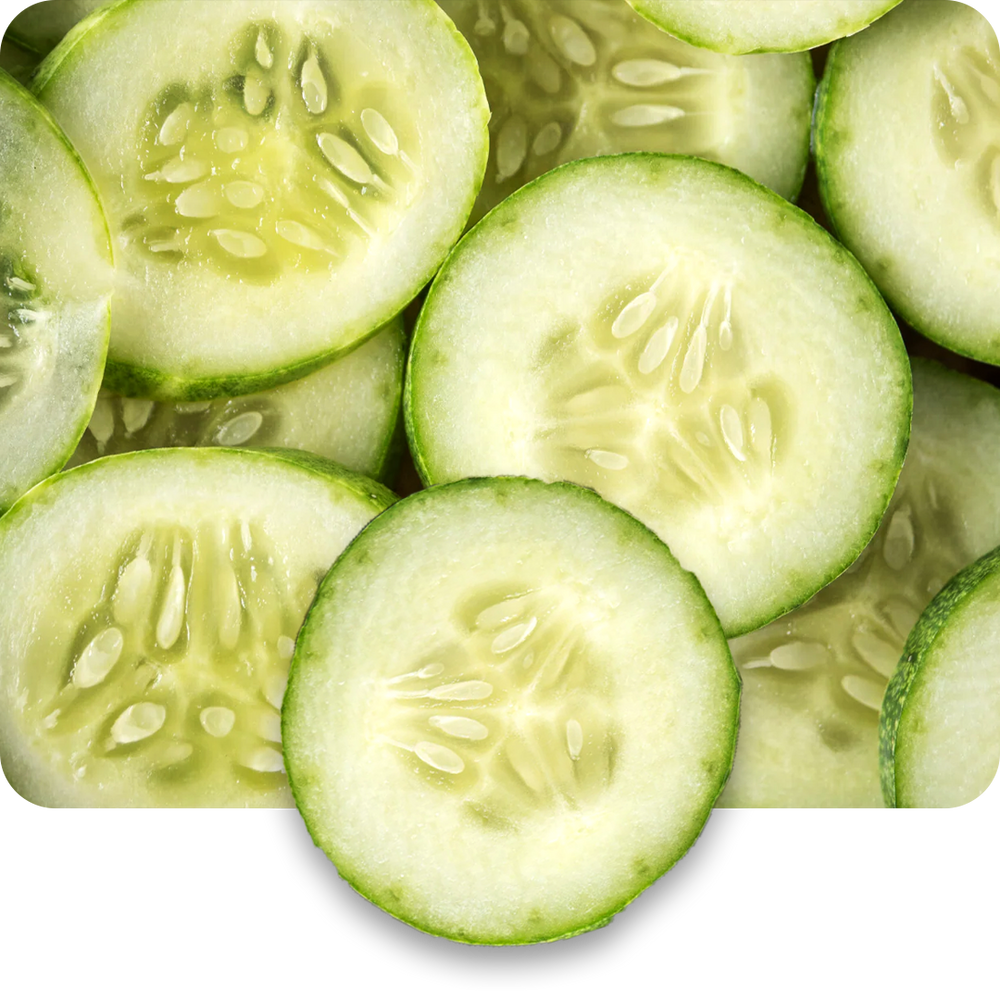 Cucumber Extract