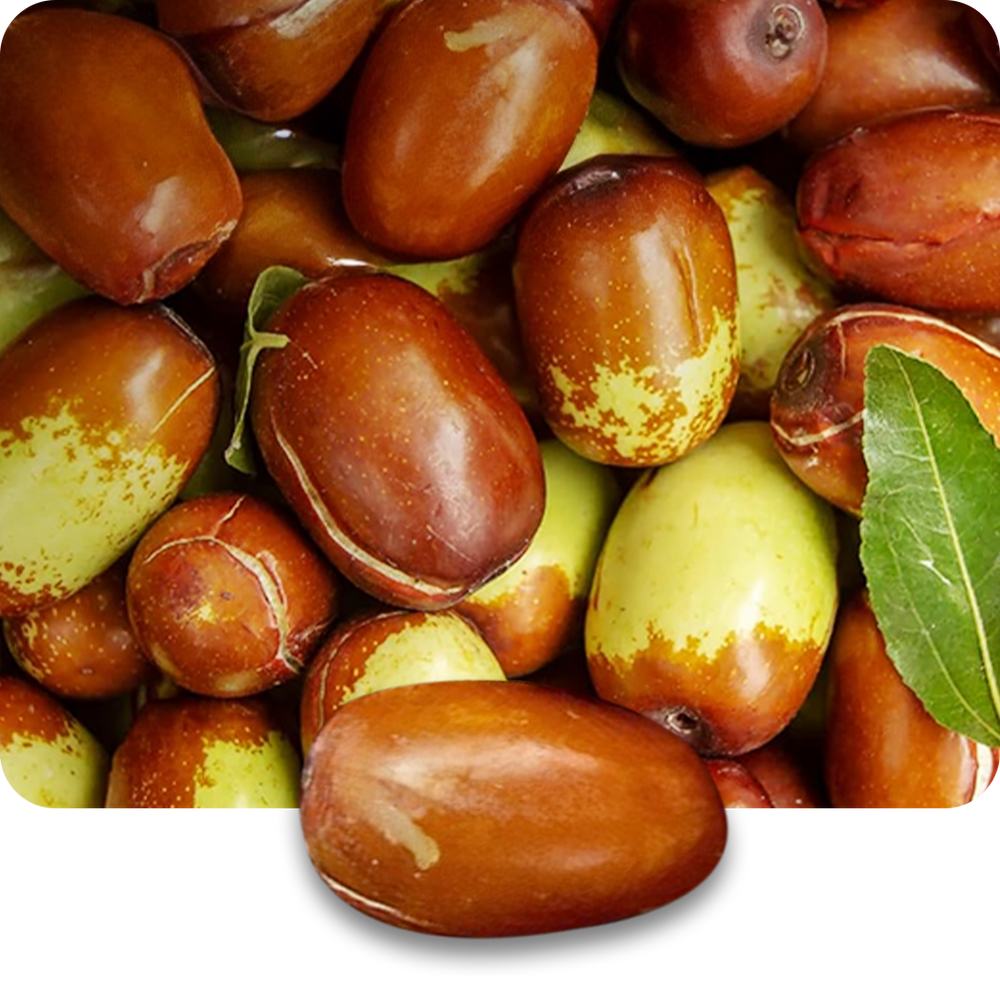 Jojoba Oil