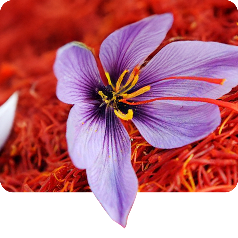 Saffron (Kesar)