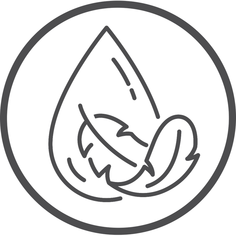 Lightweight Daily Wear Formula & Non Greasy