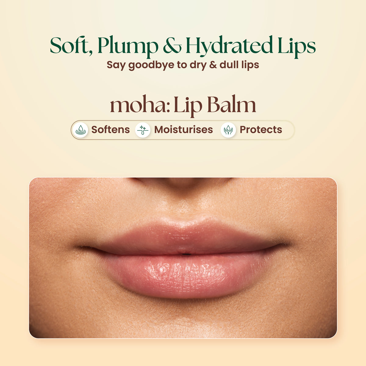 Herbal Lip Balm