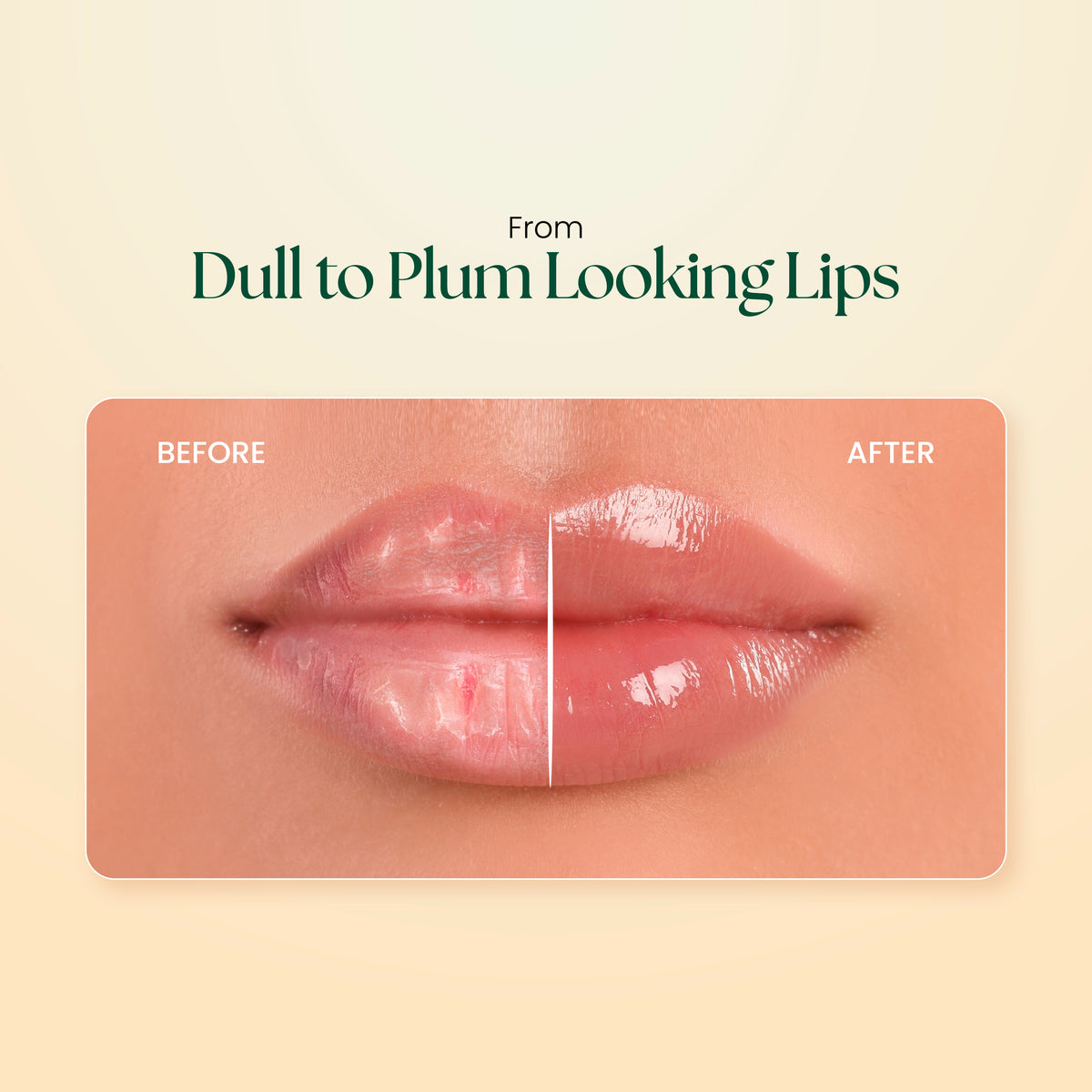 Herbal Lip Balm
