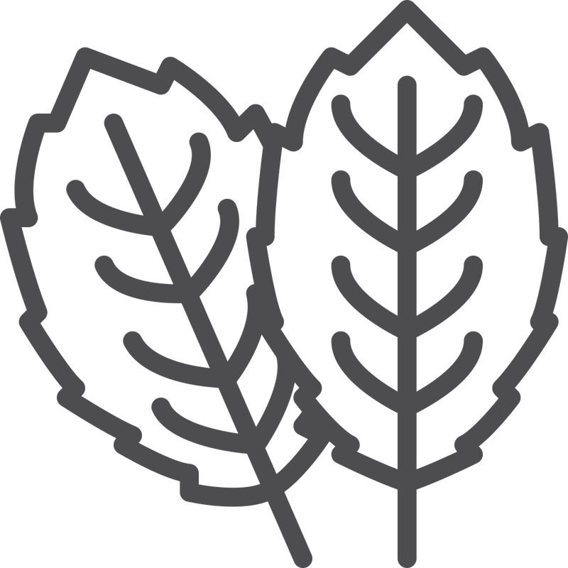 Herbal-Deep Cleansing : Neem + Triphala complex removes pollutants, excess sebum and impurities at the root level — not just surface dirt.