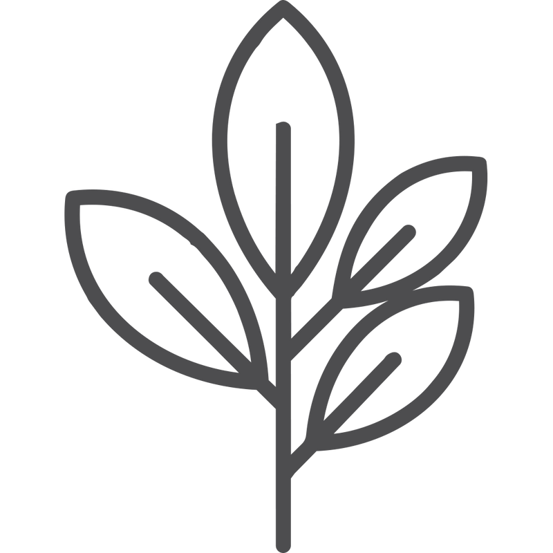 Natural-Origin Actives : Minimally processed herbal aqueous extracts — Moringa, Shirish — preserve bioactive integrity.