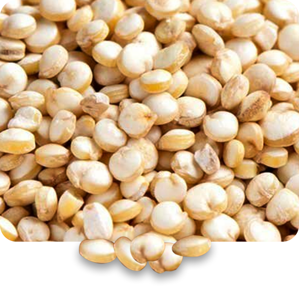 Quinoa Protein