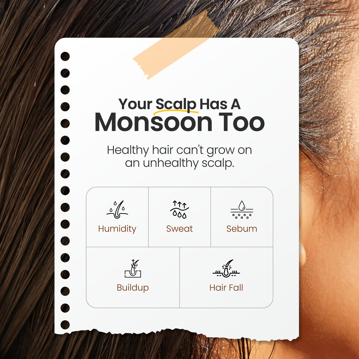 Monsoon Hair Care Kit