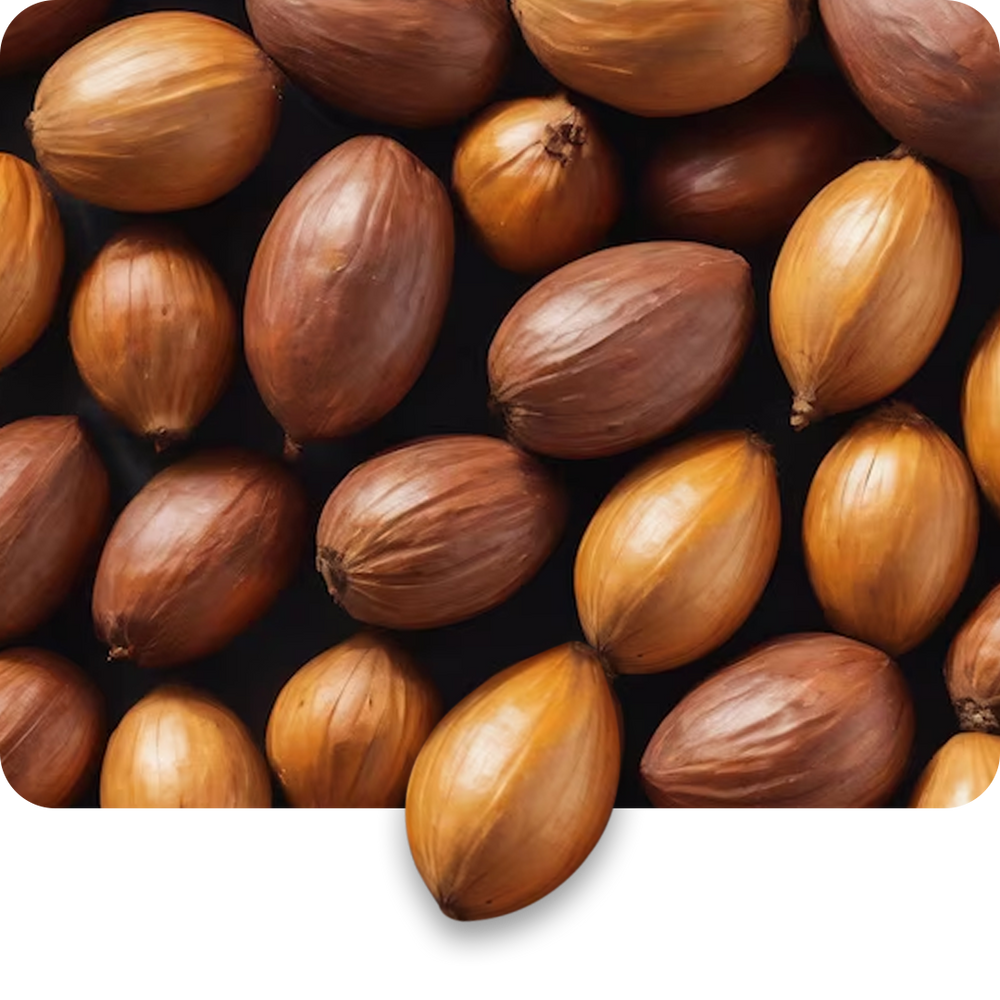 Shea Butter