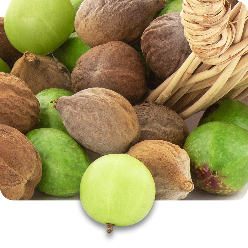 Triphala
